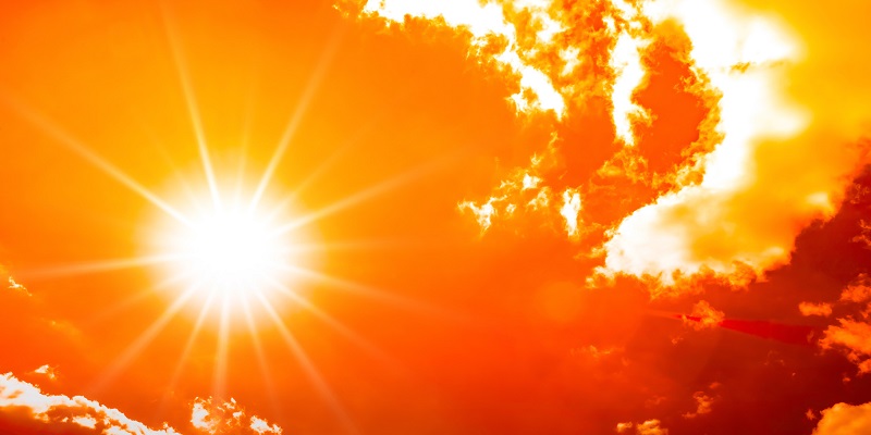 Canicule : La France compte ses morts