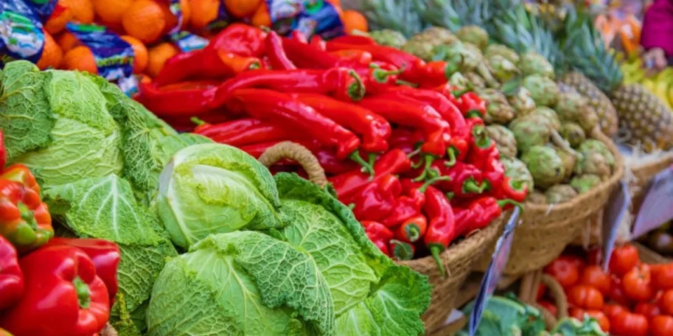Le PPE appelle à revoir l’accord commercial avec le Maroc pour exclure les produits du Sahara