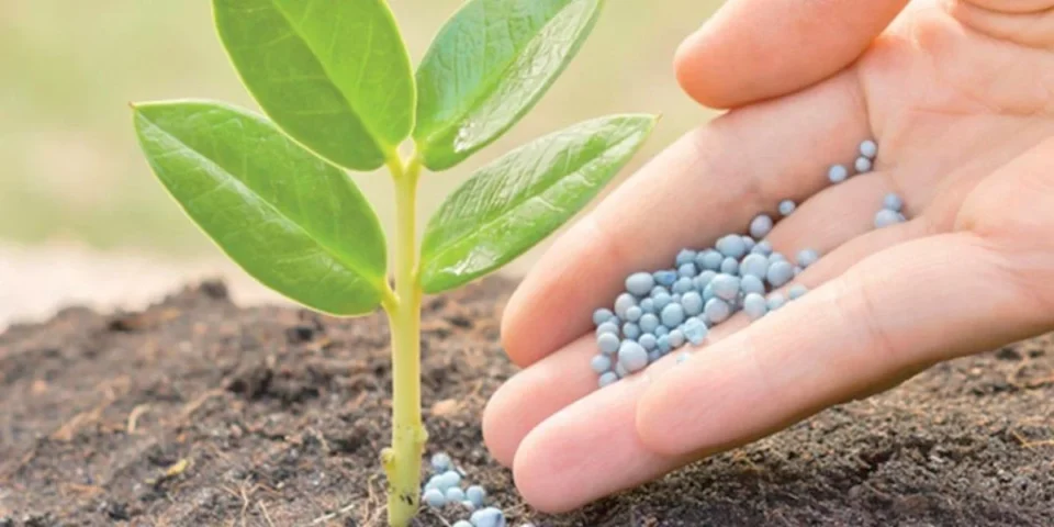 OCP Nutricrops augmente la production de TSP à 5 millions de tonnes au hub de Jorf Lasfar