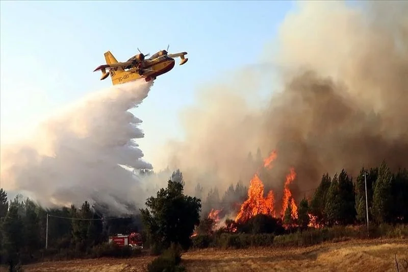 L’incendie de forêt à Derdara circonscrit