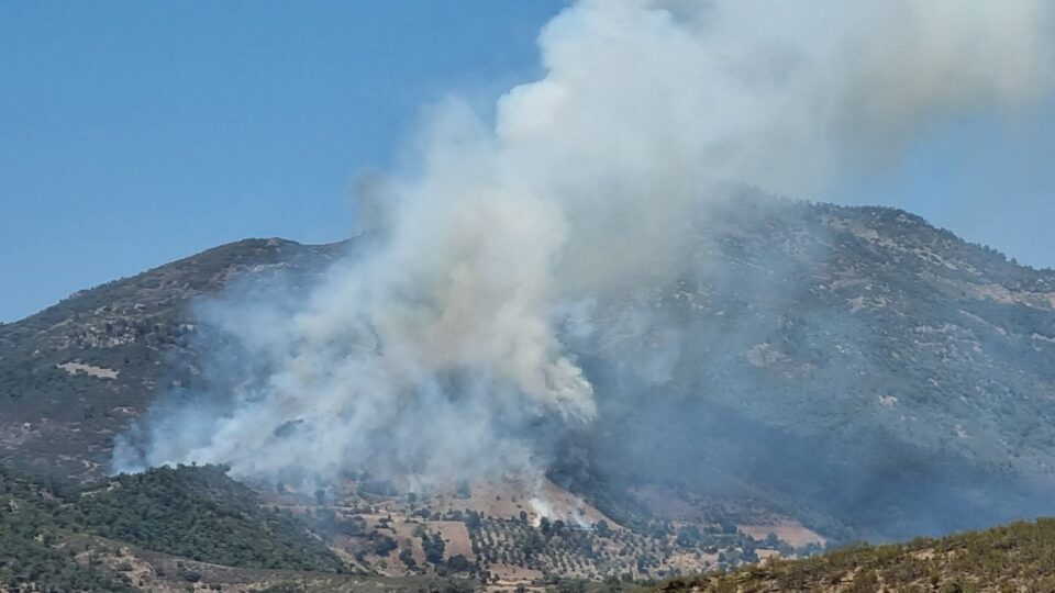 Des avions d’incendie ont couru le temps pour éteindre un incendie de forêt qui a été maintenu entre Al Hoceima et Chefchaouen