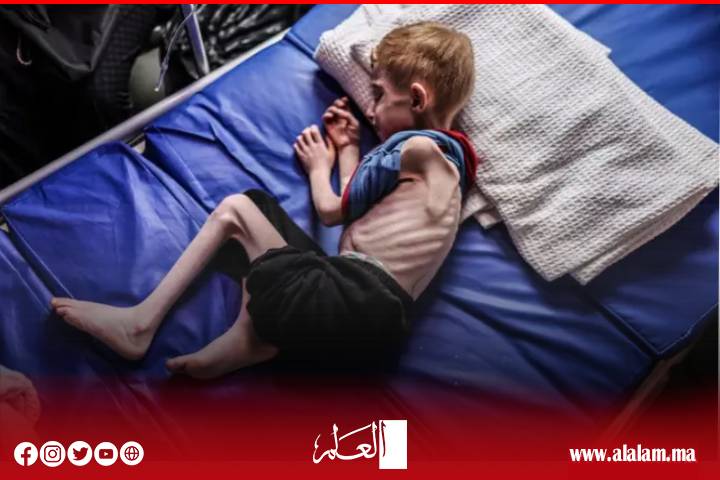 Un officiel international met en garde contre les «répercussions catastrophiques» pour étendre les opérations militaires israéliennes à Gaza