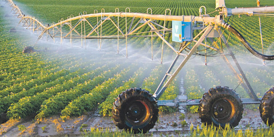 La FENAGRI organise la 1re édition de l’Agro Export Day