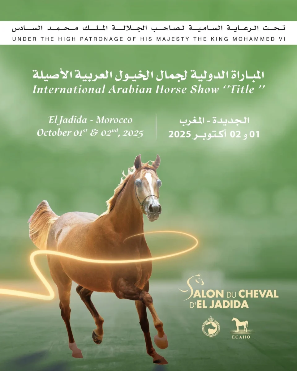 Le 16e Salon du cheval accueille le Title Show des chevaux pur-sang arabes