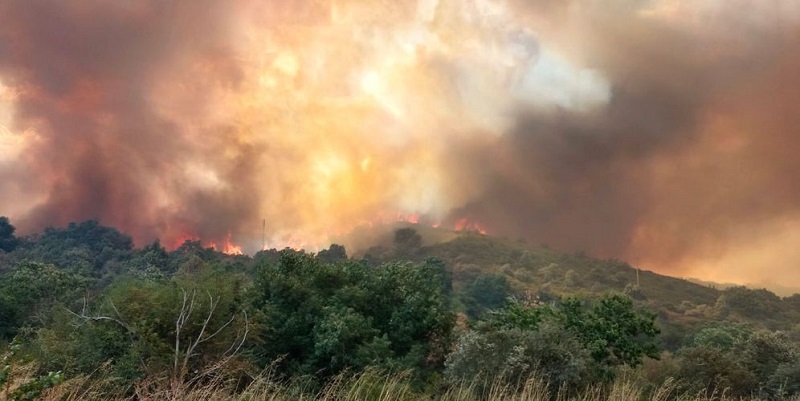 Espagne : Au moins une trentaine d’arrestations liées aux incendies