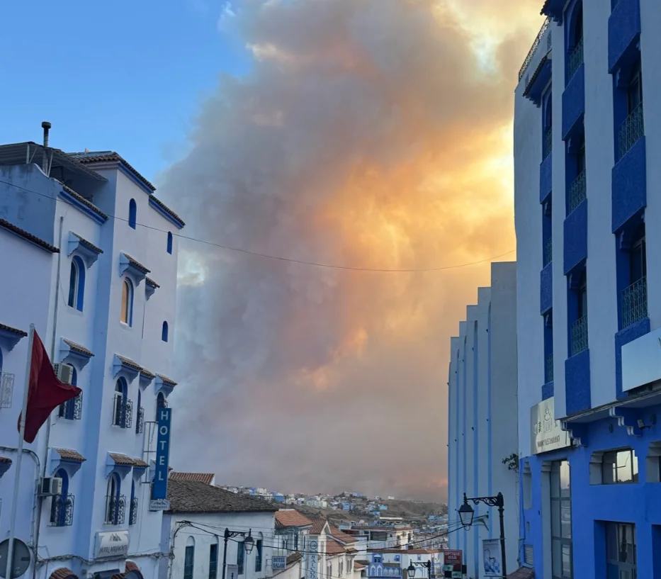 Un immense incendie ravage de vastes zones forestières [Vidéo]