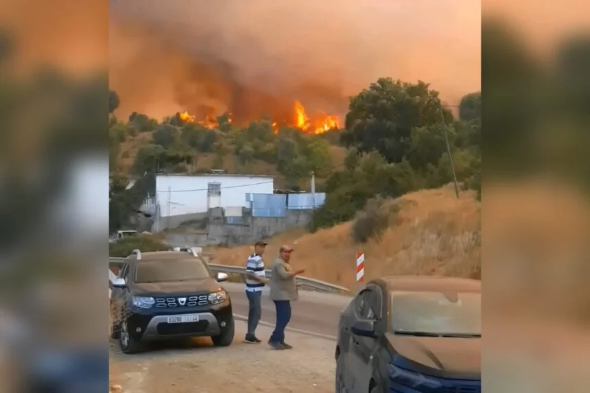 Deux membres de la Protection civile blessés dans l’incendie de forêt