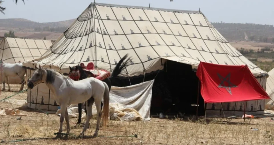 Après le viol à Moulay Abdallah Amghar, des associations appellent à interdire les nuitées sous tente durant les moussem