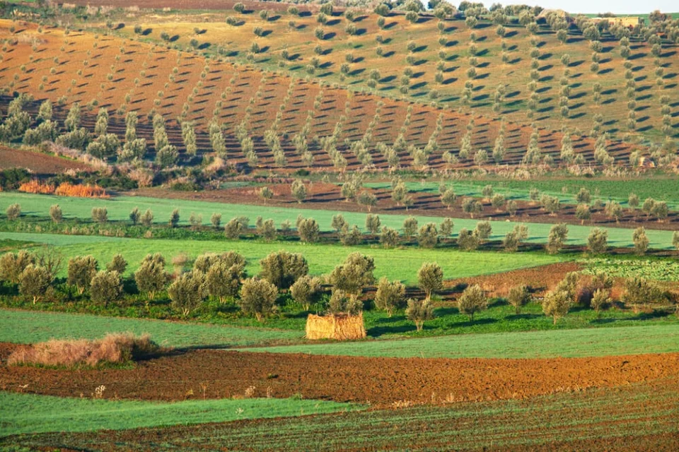 Les premières cartes haute résolution des nutriments du sol des terres agricoles sont nées
