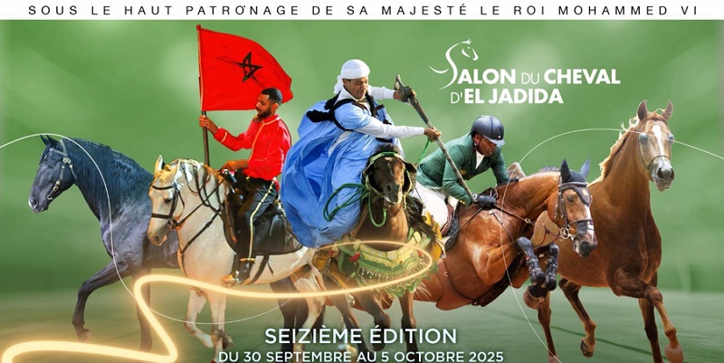 Salon du Cheval d’El Jadida : Une 16e édition axée sur le bien-être du cheval
