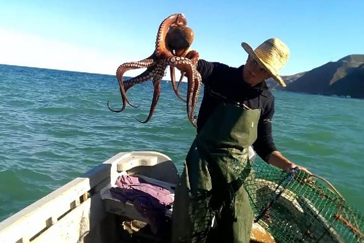 Mesures strictes pour assurer la durabilité marine