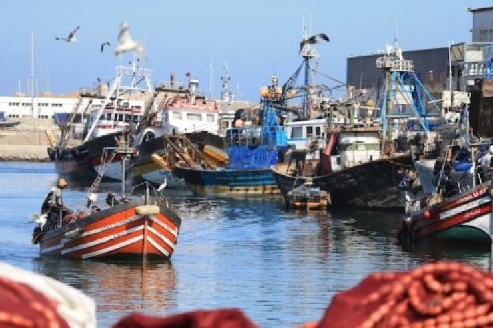 Dakhla … réserve 6,8 tonnes de poissons et arrêter 12 personnes: