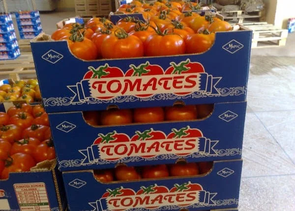 Les tomates marocaines dans le viseur de producteurs européens