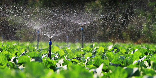 Economie d’eau d’irrigation: Encore quelques réglages à opérer
