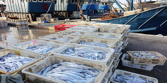 Pêche mondiale: L’OMC adopte son 1er accord environnemental contraignant
