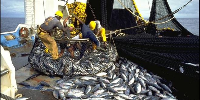 Pêche : baisse de 9% des débarquements au port d’Al Hoceima