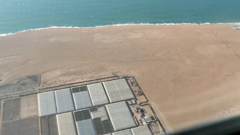 Le PP veut exclure le Sahara des accords commerciaux entre le Maroc et l’UE