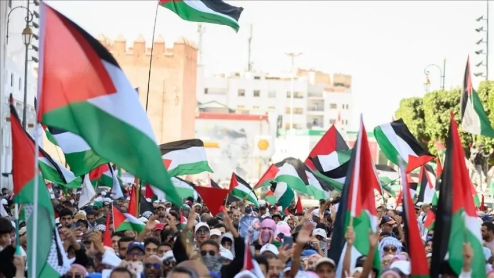 Plus de 9 800 sit-in en soutien à Gaza