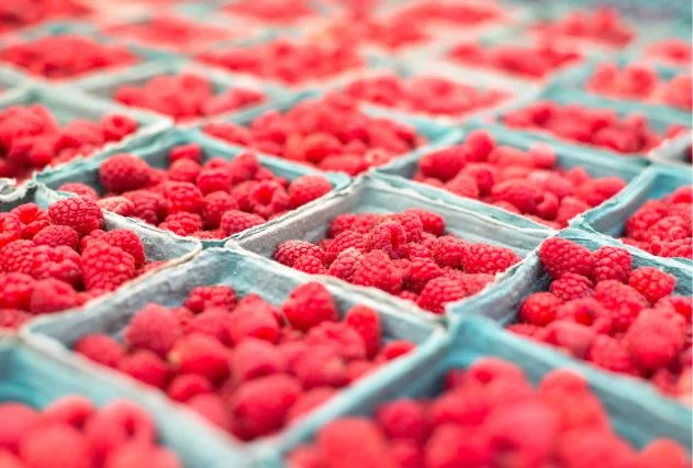 Record des exportations du Maroc avec 64 400 tonnes (13,8%)