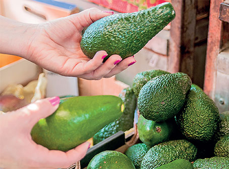 Export avocat: Bientôt le marché américain