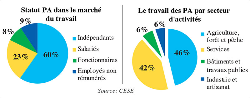 Vers une «silver economy» marocaine?